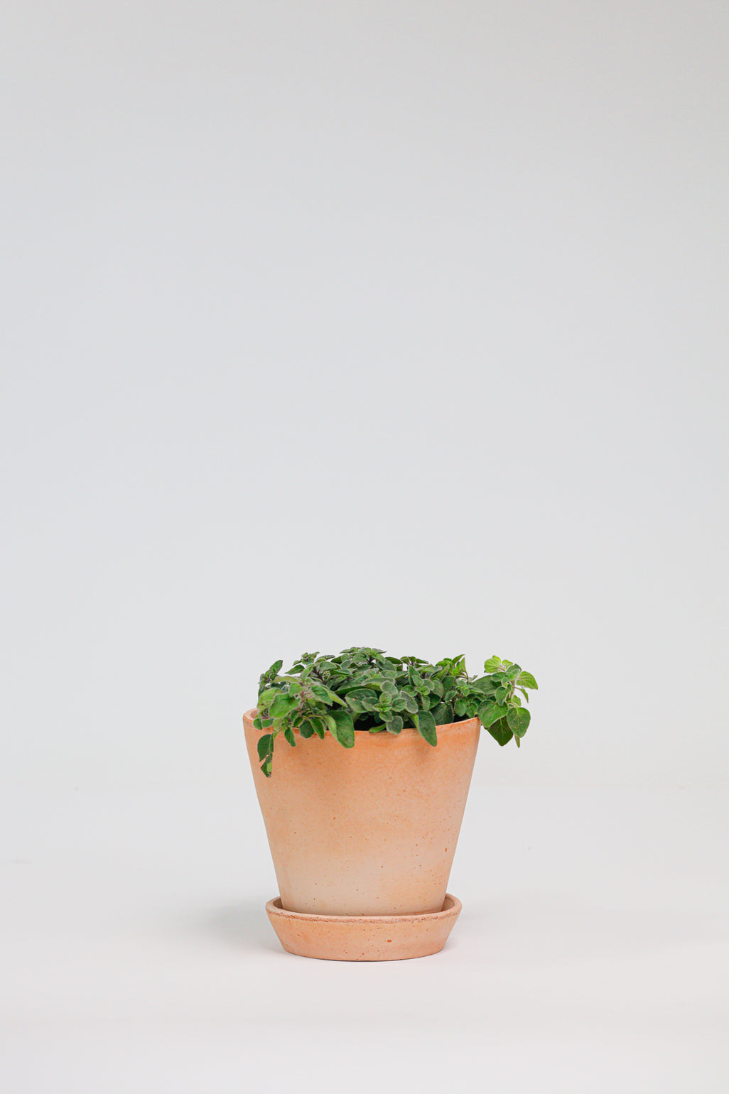 products/SotoProductShootLowQ-1716.jpg